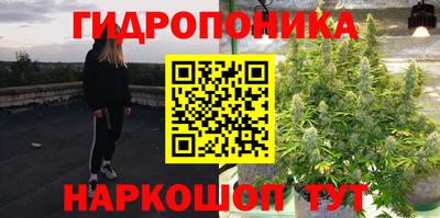 молекула духа Краснознаменск