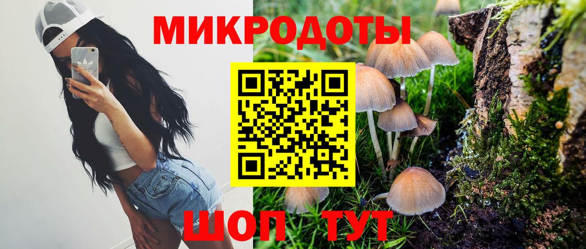 Галлюциногенные грибы мухоморы Каменск-Уральский