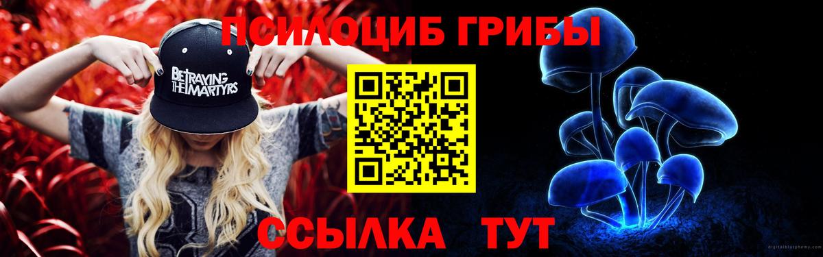 Псилоцибиновые грибы прущие грибы  Вход с VPN  Каменск-Уральский 